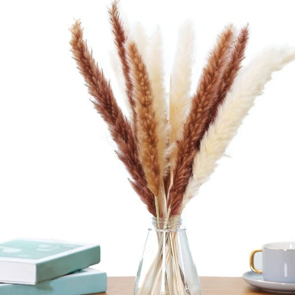 Modern Dried Pampas Grass Bouquet in Sleek Vase - Boho Minimalist Home Decor Arrangement
