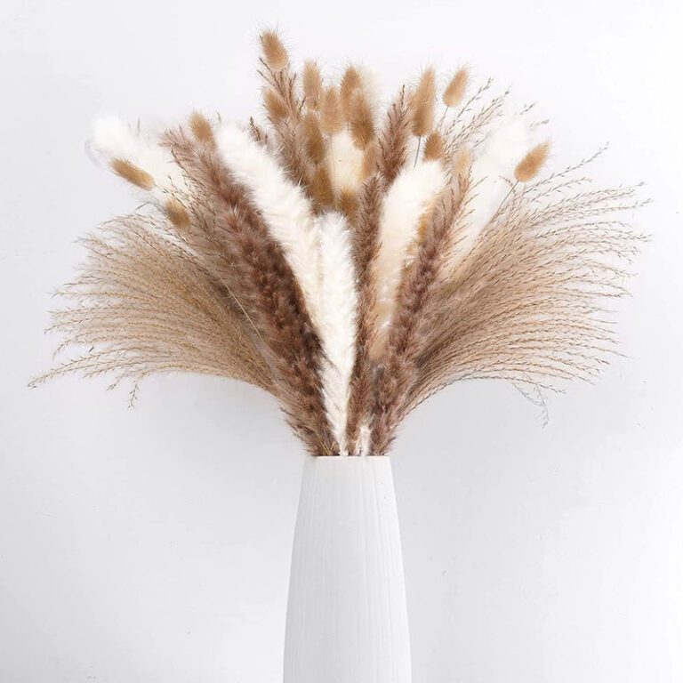 Dried Pampas Grass Bouquet in White Minimalist Vase - Modern Boho Home Decor Arrangement
