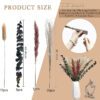 Dried Flower Product Display Set - Boho Rustic Home Decor Floral Assortment