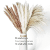 Neutral Dried Pampas Grass Bouquet - Soft Boho Chic Home Decor Floral Arrangement