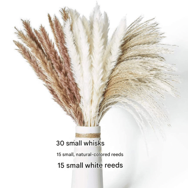 Neutral Dried Pampas Grass Bouquet - Soft Boho Chic Home Decor Floral Arrangement