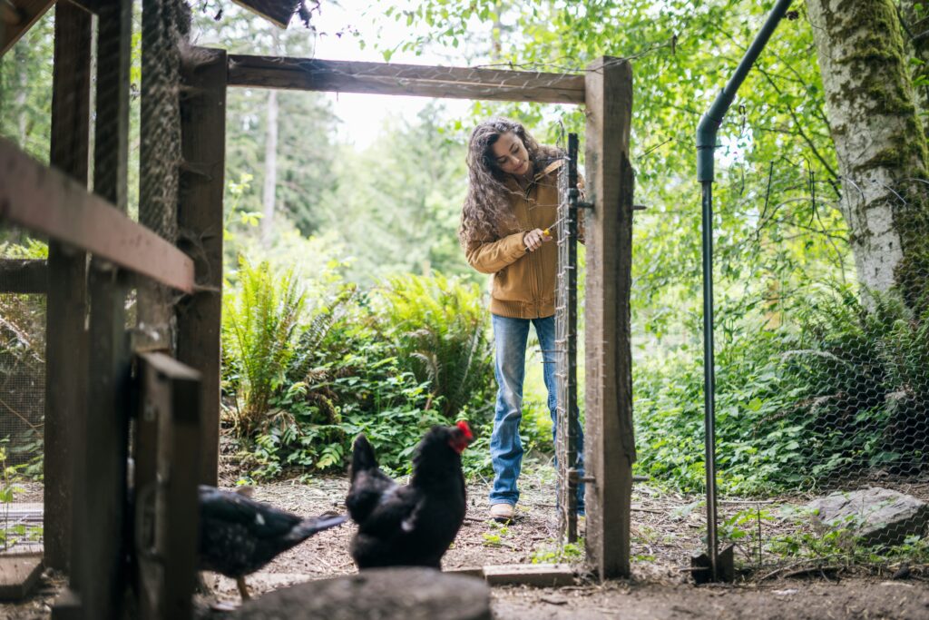 Woman tending to chickens in a lush backyard garden with wooden structures, representing sustainable green living.