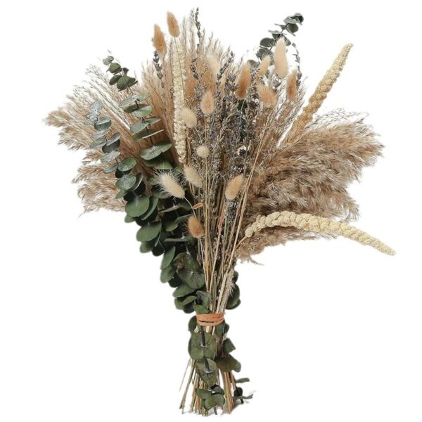 Natural Dried Pampas Grass Bouquet - Fluffy Feathery Floral Arrangement for Boho Home Decor